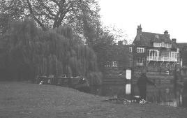 Charles Darwin's house and Coe Fen